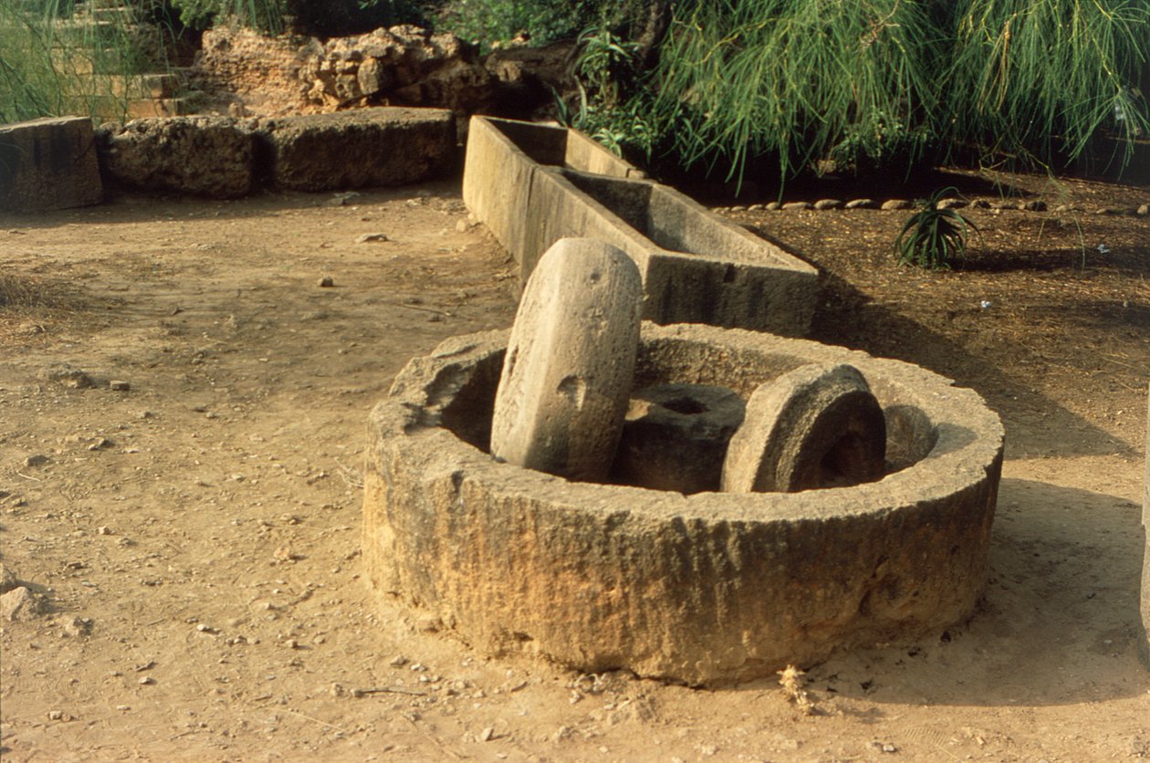 Prasa olejowa autorstwa Roman