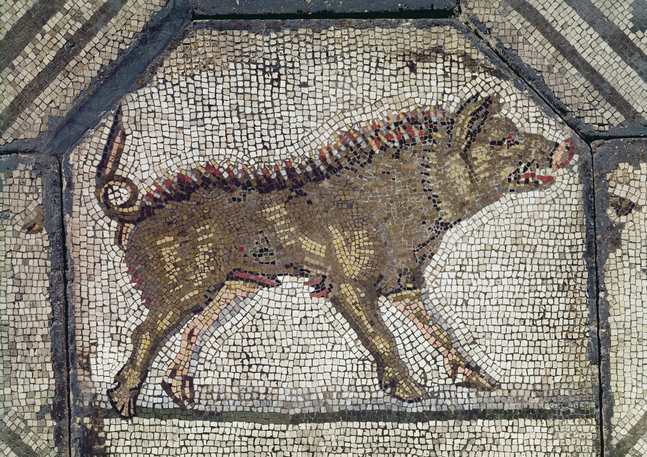 Orfeusz Czarujący Zwierzęta, fragment mozaiki z dzika autorstwa Roman