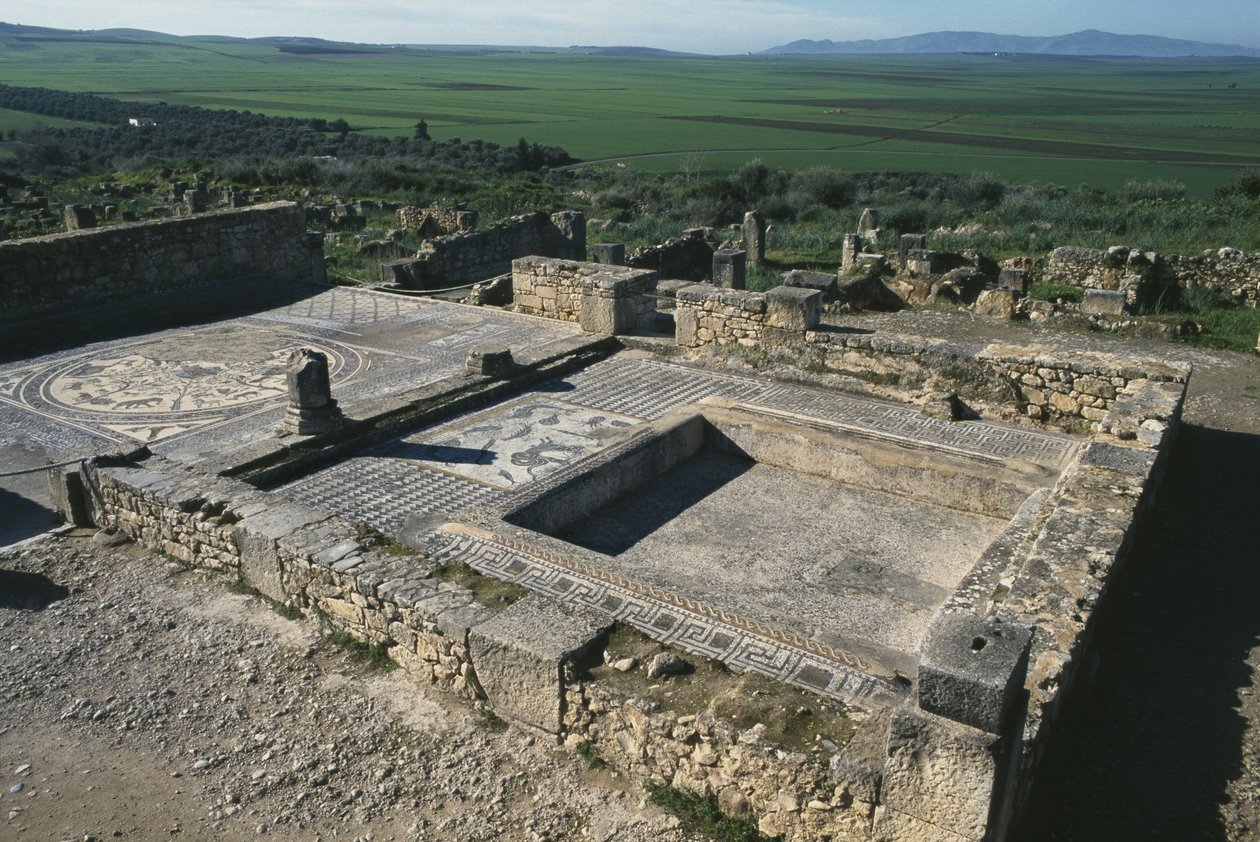 Bruk domu patrycjusza autorstwa Roman