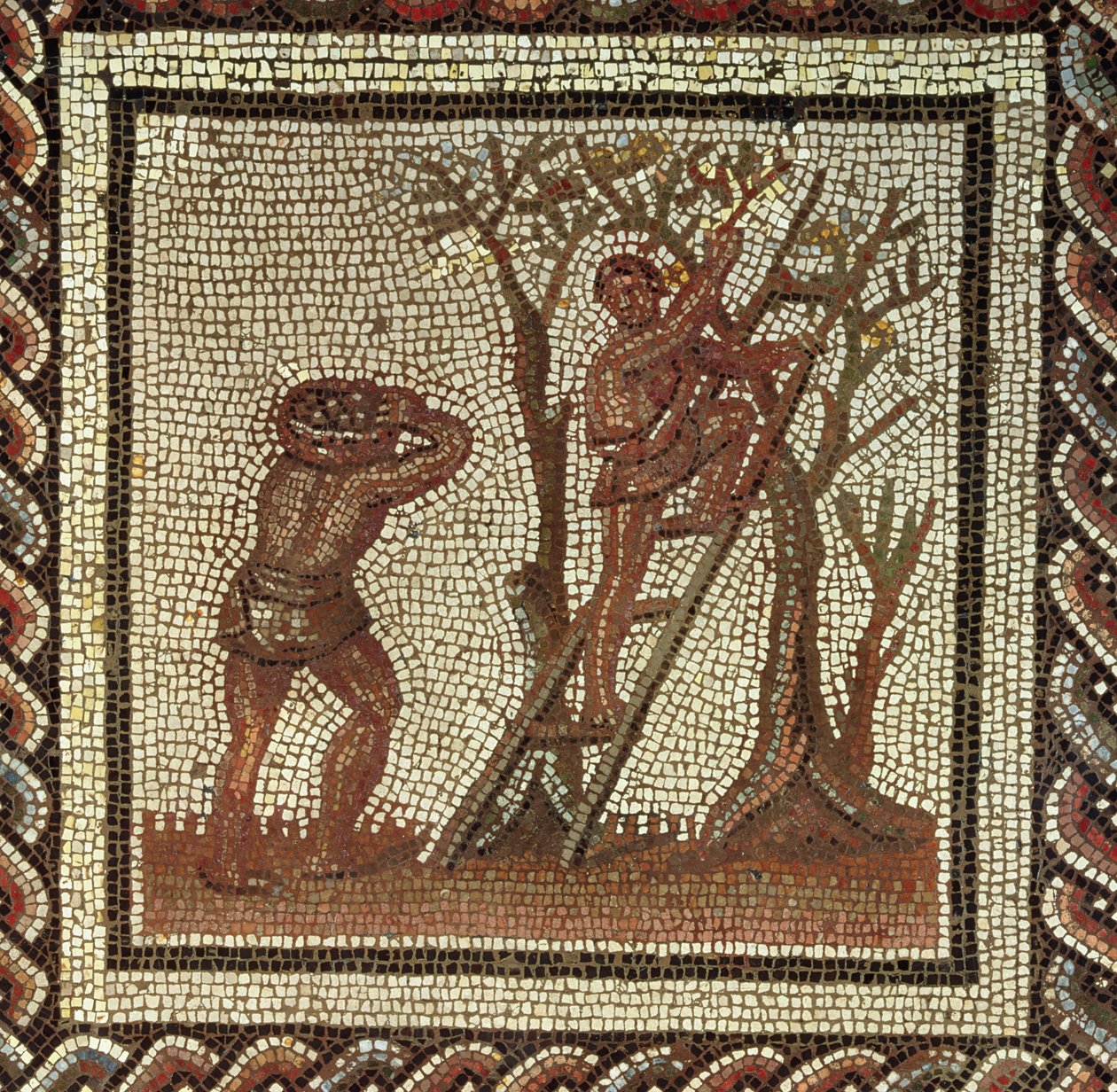 Zbieranie owoców, mozaika rzymska z Saint-Romain-en-Gal, Francja, AD 200-225 autorstwa Roman