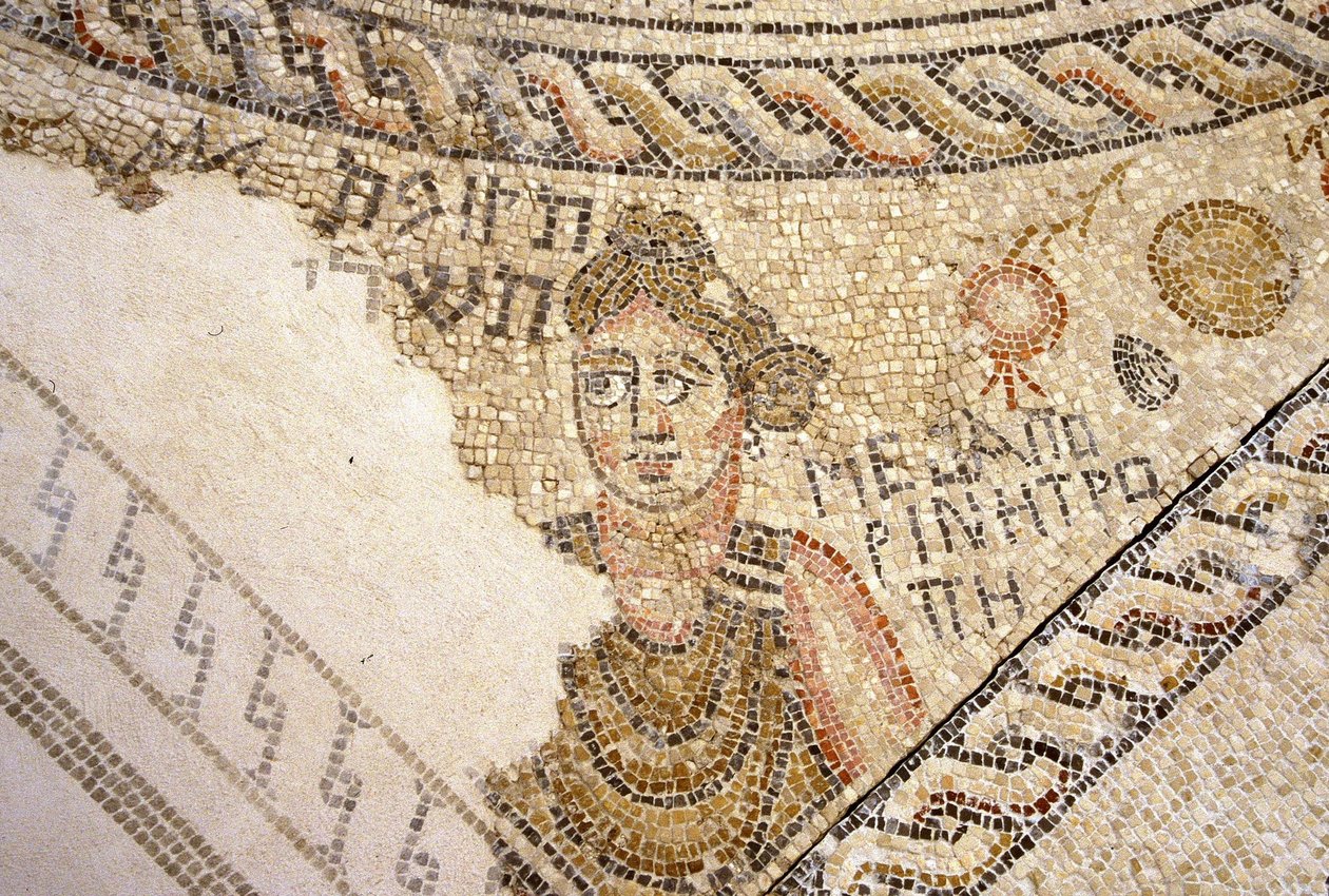 Mozaika seforowa, Tzippori (mozaika) autorstwa Roman