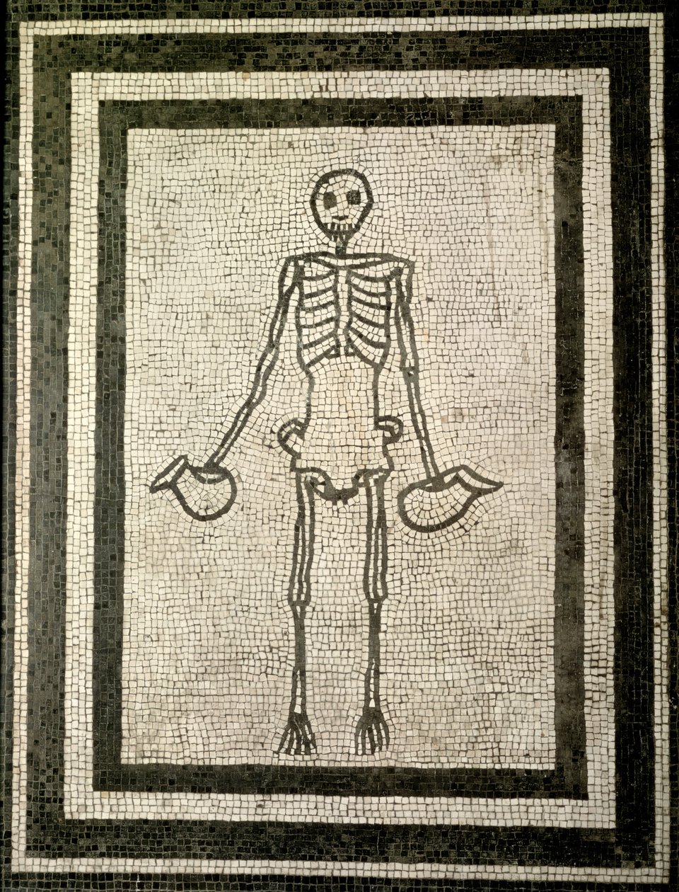 Szkielet podczaszy (mozaika) autorstwa Roman