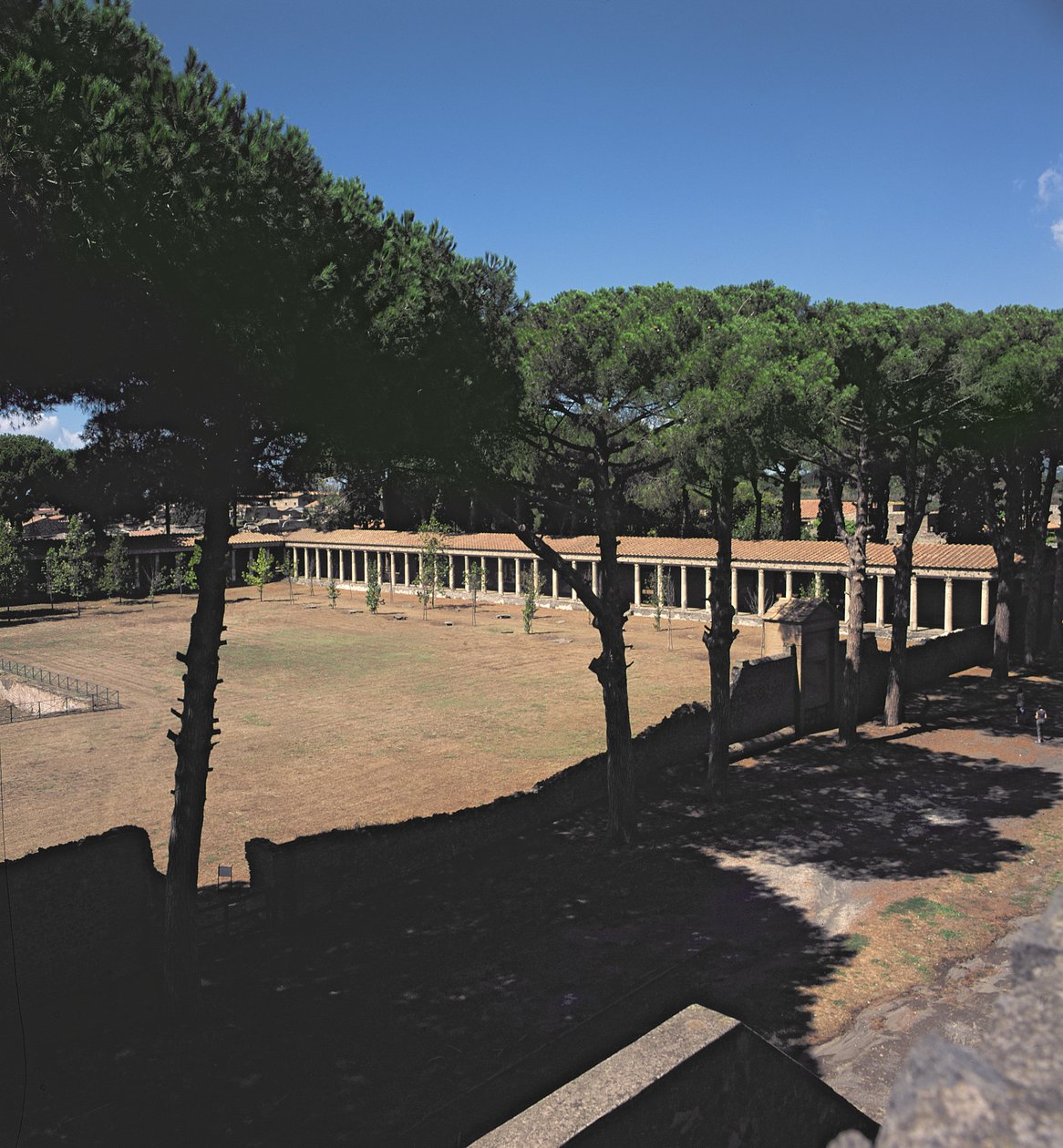 Wielka Palaestra autorstwa Roman