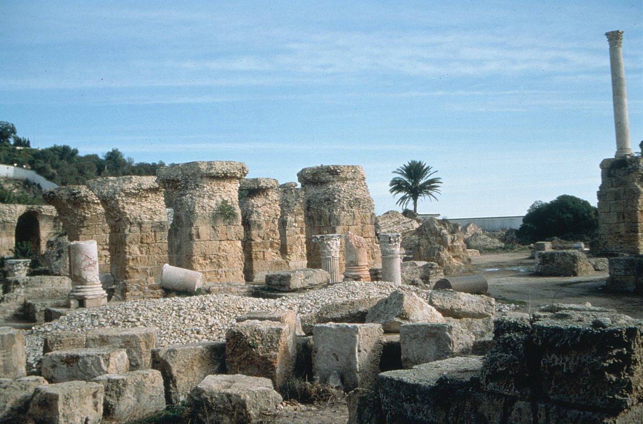 Widok ruin autorstwa Roman