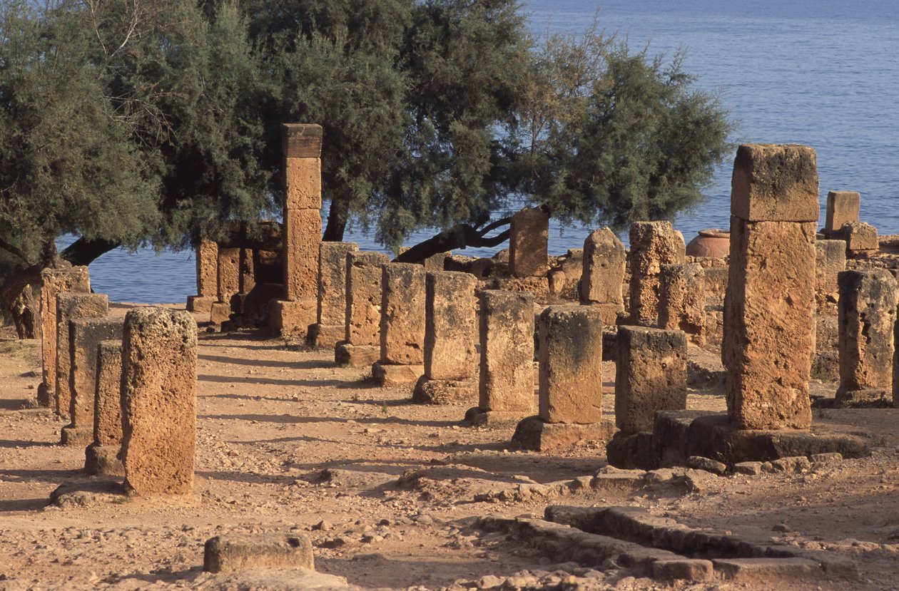 Widok Cardo autorstwa Roman
