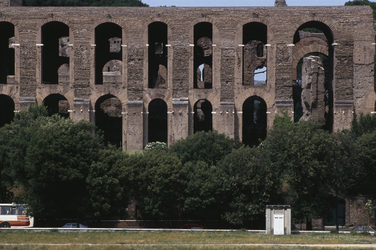 Widok na Palatyn z Circus Maximus autorstwa Roman