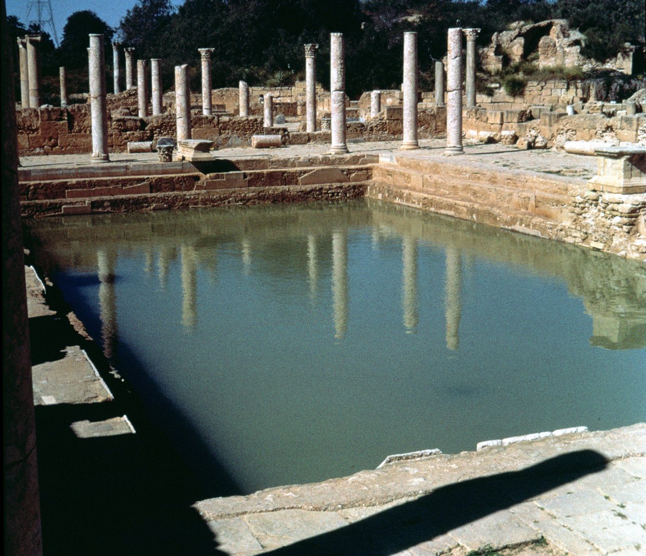 Widok na łaźnie autorstwa Roman