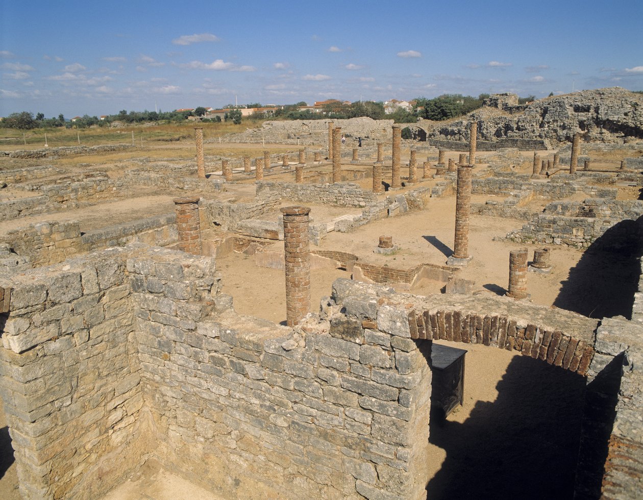 Widok na ruiny autorstwa Roman