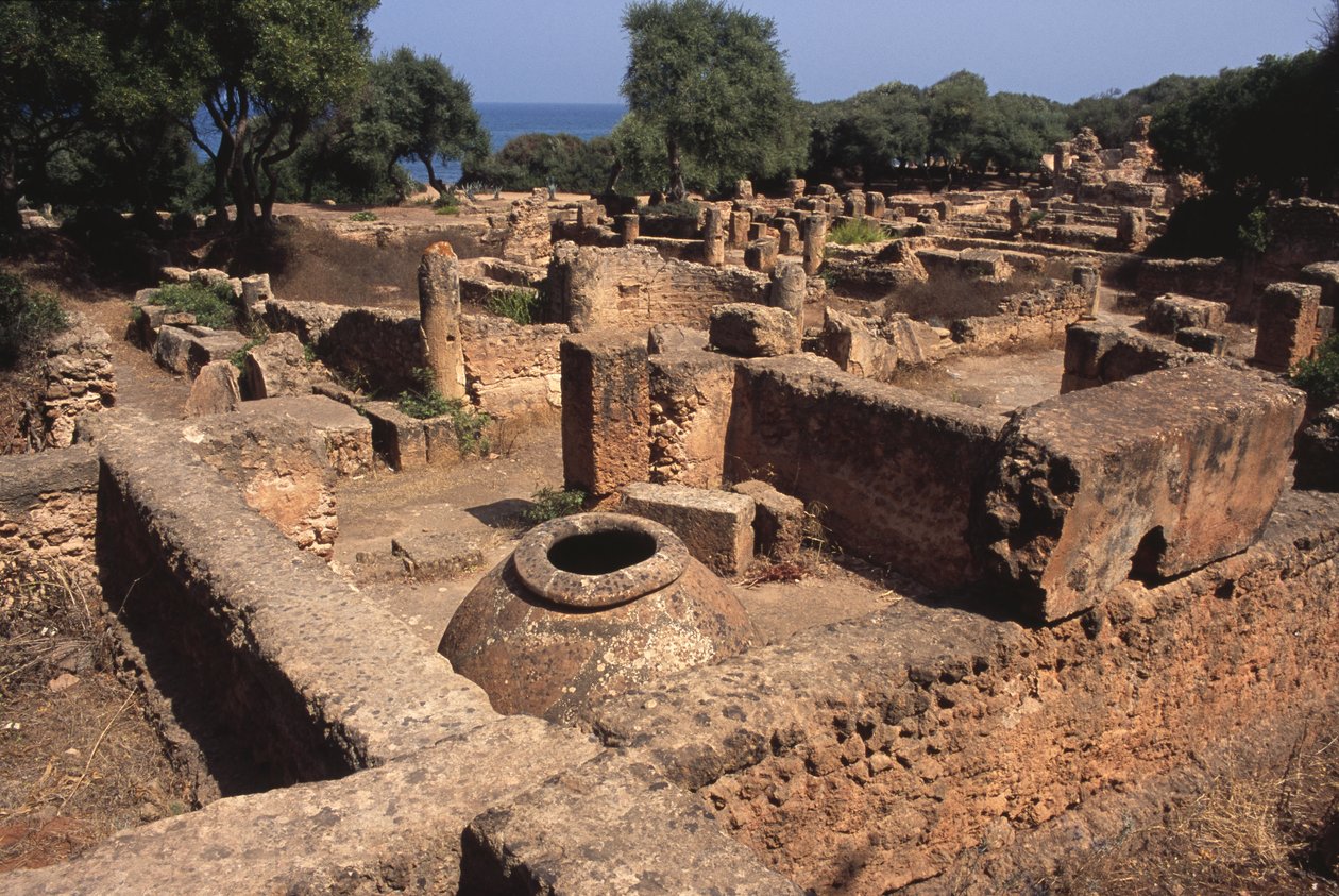 Widok strony autorstwa Roman