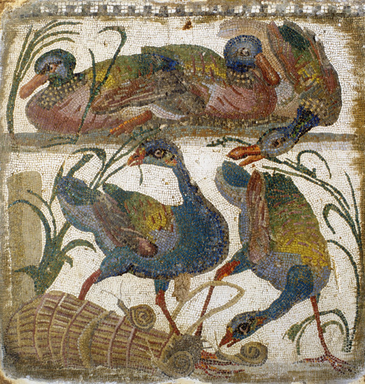 Ptactwo wodne (mozaika) autorstwa Roman