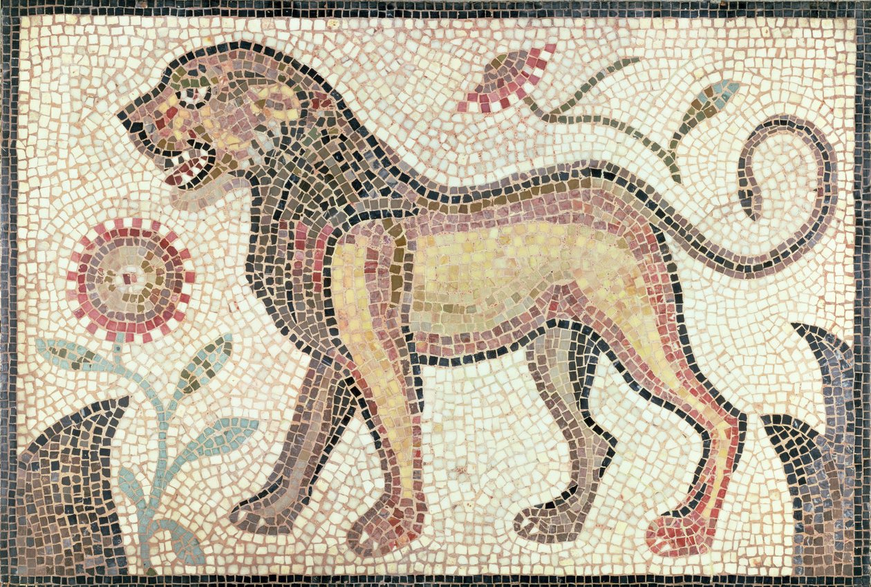 Lew, z Tunisu, prawdopodobnie koniec V wne (mozaika) autorstwa Roman Roman