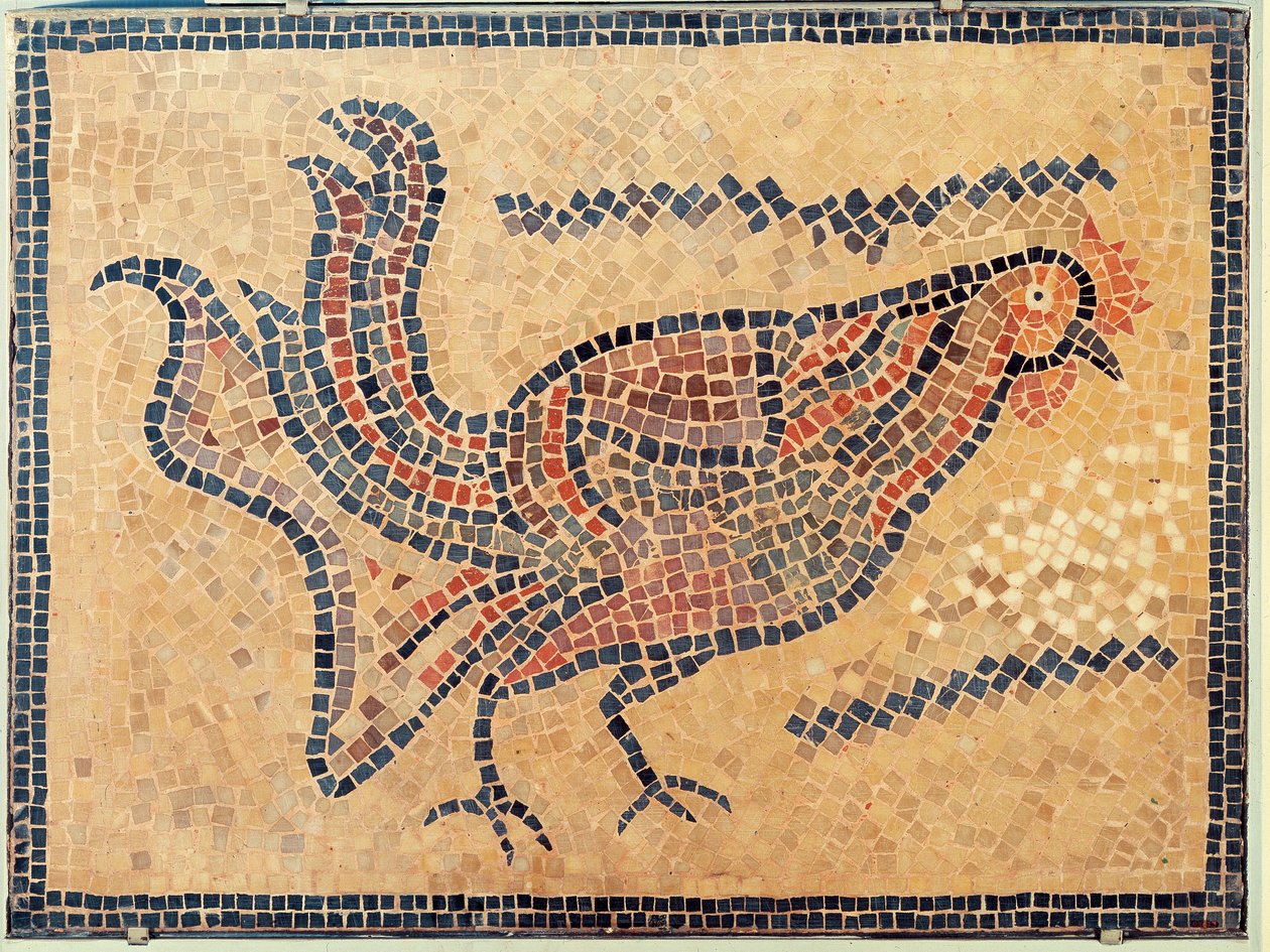 Kogut, z Tunisu, prawdopodobnie koniec V wieku naszej ery (mozaika) autorstwa Roman Roman