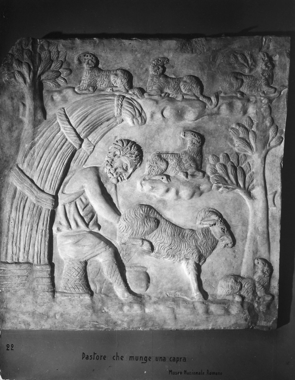 Pasterz dojący kozę, fragment z sarkofagu autorstwa Roman Roman