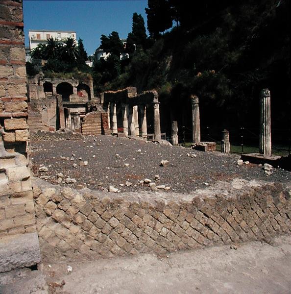 Palestra autorstwa Roman Roman