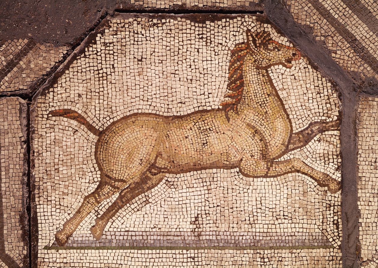 Koń, fragment z Orfeusza Czarujący Zwierzęta (mozaika) autorstwa Roman