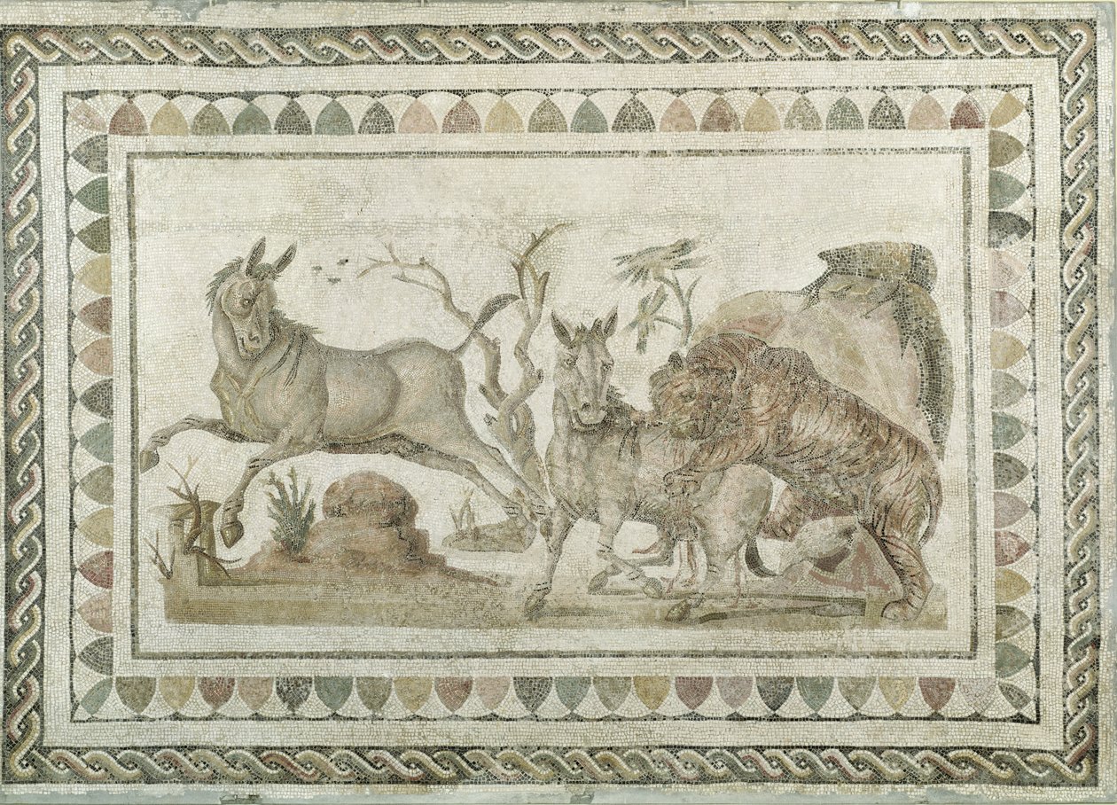 Tygrys atakujący dwóch onagerów, z Domu Procesji Dionizyjskiej, El-Jem (Thysdrus) (mozaika) autorstwa Roman