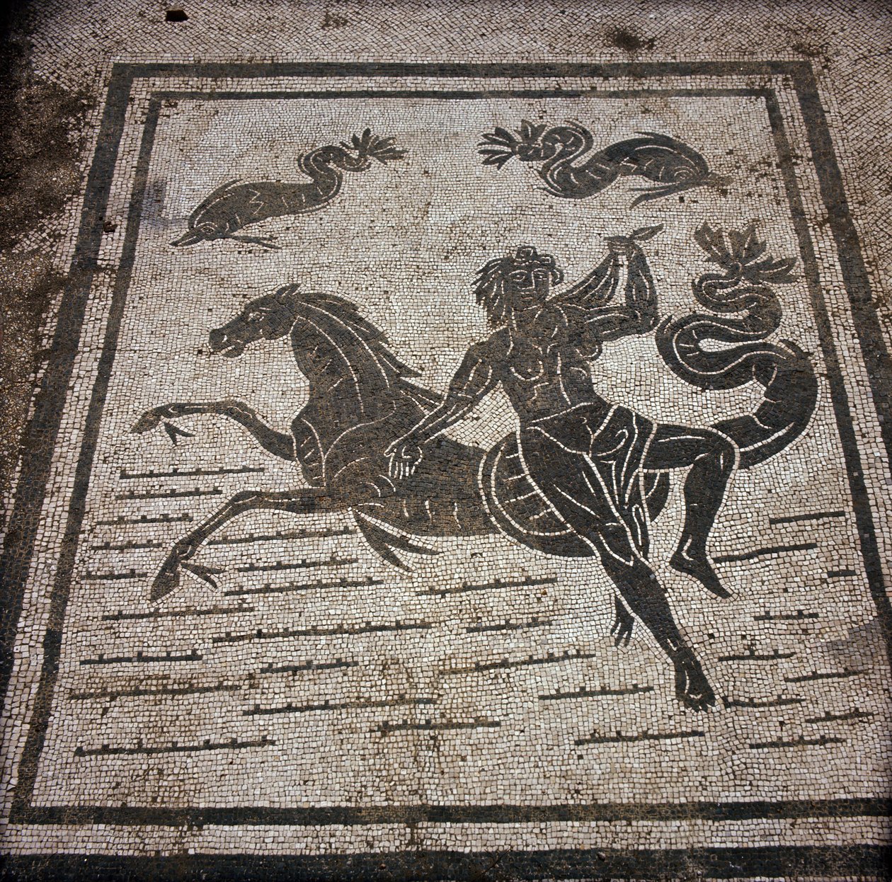 Starożytna Ostia (Ostia). Place des Corporations. Mozaika Sabratha Seafarers Corporation. Nimfa i koń morski. autorstwa Roman