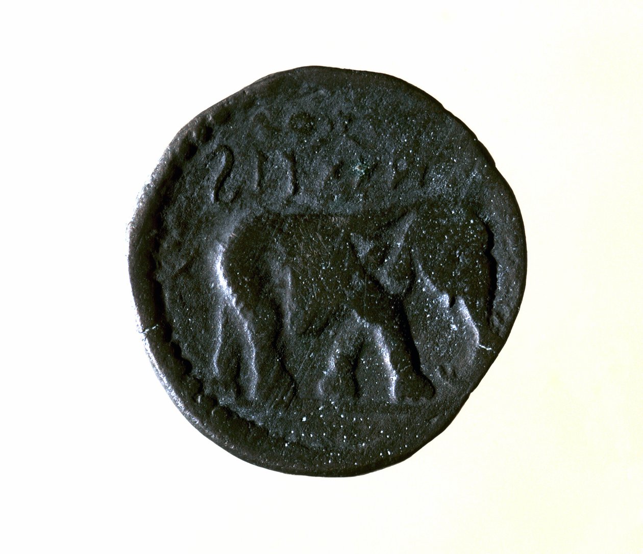Moneta Kartagina przedstawiająca słonia. III lub II wiek p.n.e. autorstwa Roman