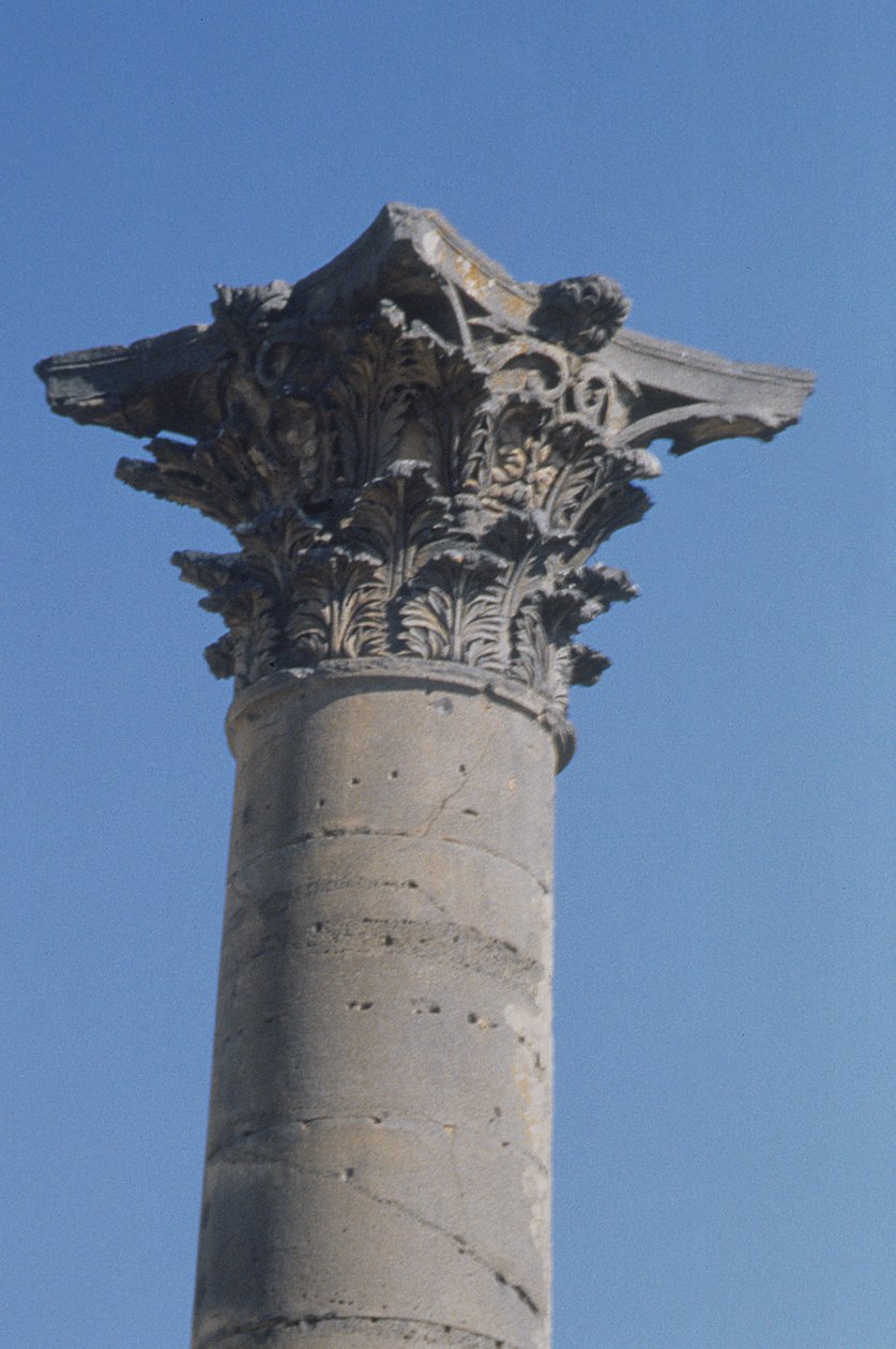 Kolumna z koryncką głowicą z nimfeum, rzymska, II w. autorstwa Roman