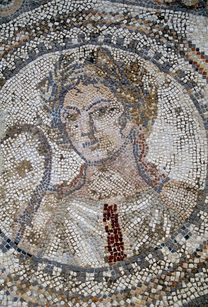 Twarz kobiety, mozaika w rzymskim mieście Volubilis (Lista Światowego Dziedzictwa UNESCO) autorstwa Roman