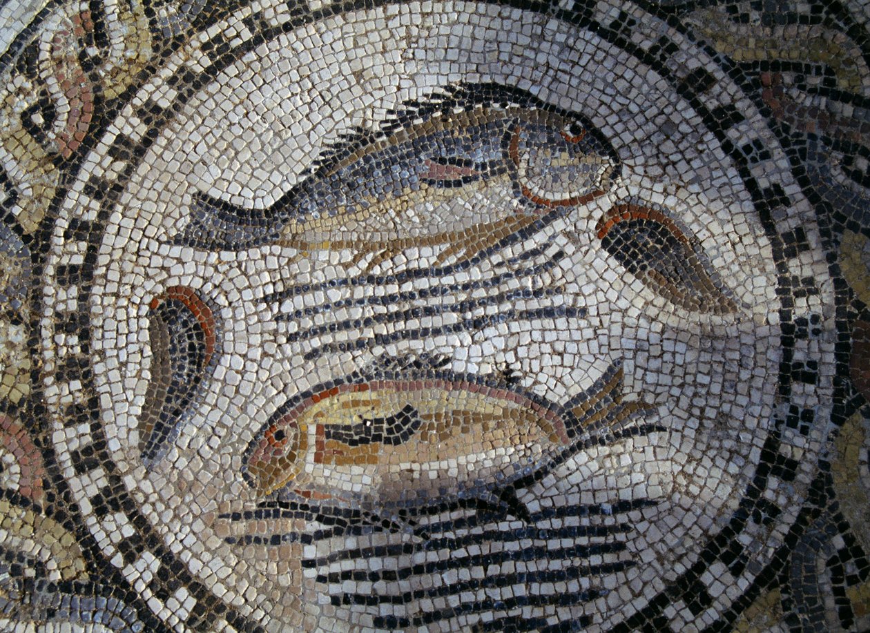 Ryba, mozaika w rzymskim mieście Volubilis (Lista Światowego Dziedzictwa UNESCO) autorstwa Roman