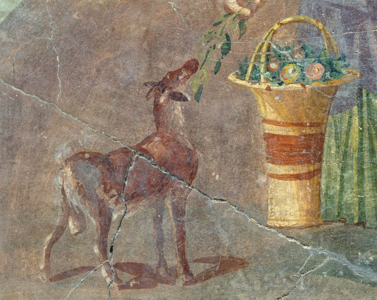 Koza i kosz owoców, fresk z Pompei, Kampanii, Włoch, cywilizacji rzymskiej autorstwa Roman