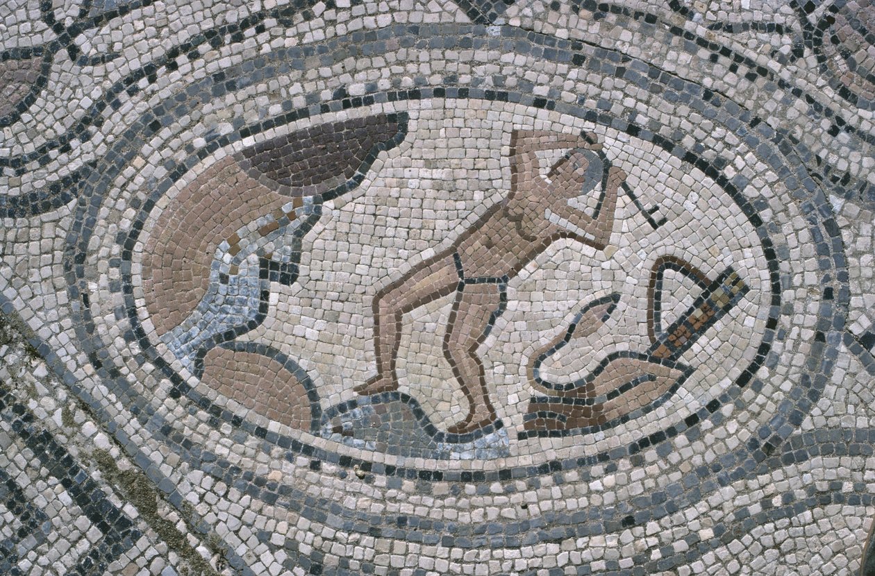 Herkules i Stajnia Augeana, z podłogi "Domu Herkulesa" (mozaika) autorstwa Roman