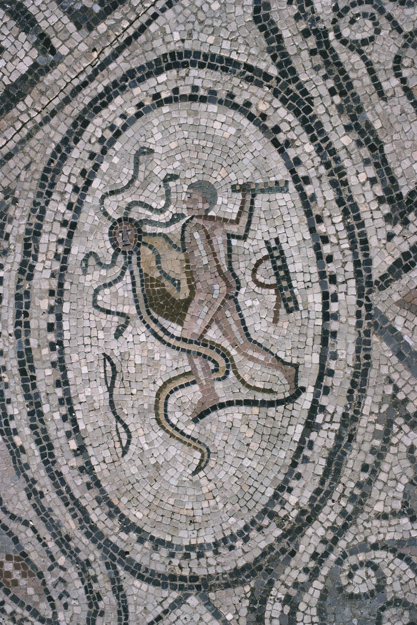 Herkules i Hydra Lernejska, z podłogi "Domu Herkulesa" (mozaika) autorstwa Roman