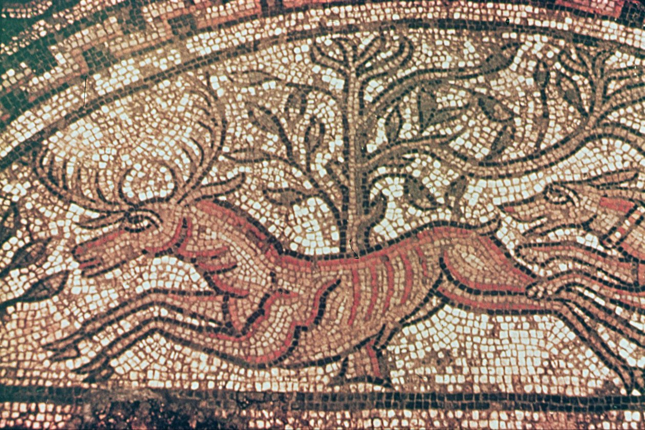Hinton St. Mary pavement (detal) ok. 350 r. n.e. (mozaika) autorstwa Roman