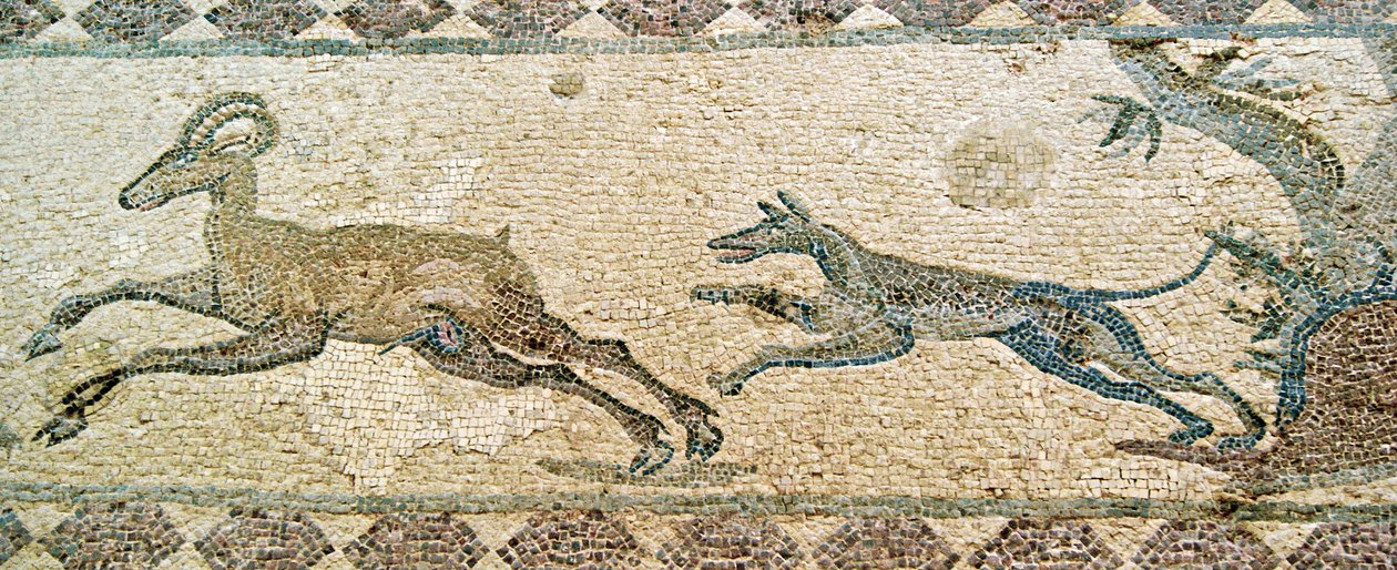Scena myśliwska, Dom Dionizosa, Pafos, Cypr (mozaika) autorstwa Roman