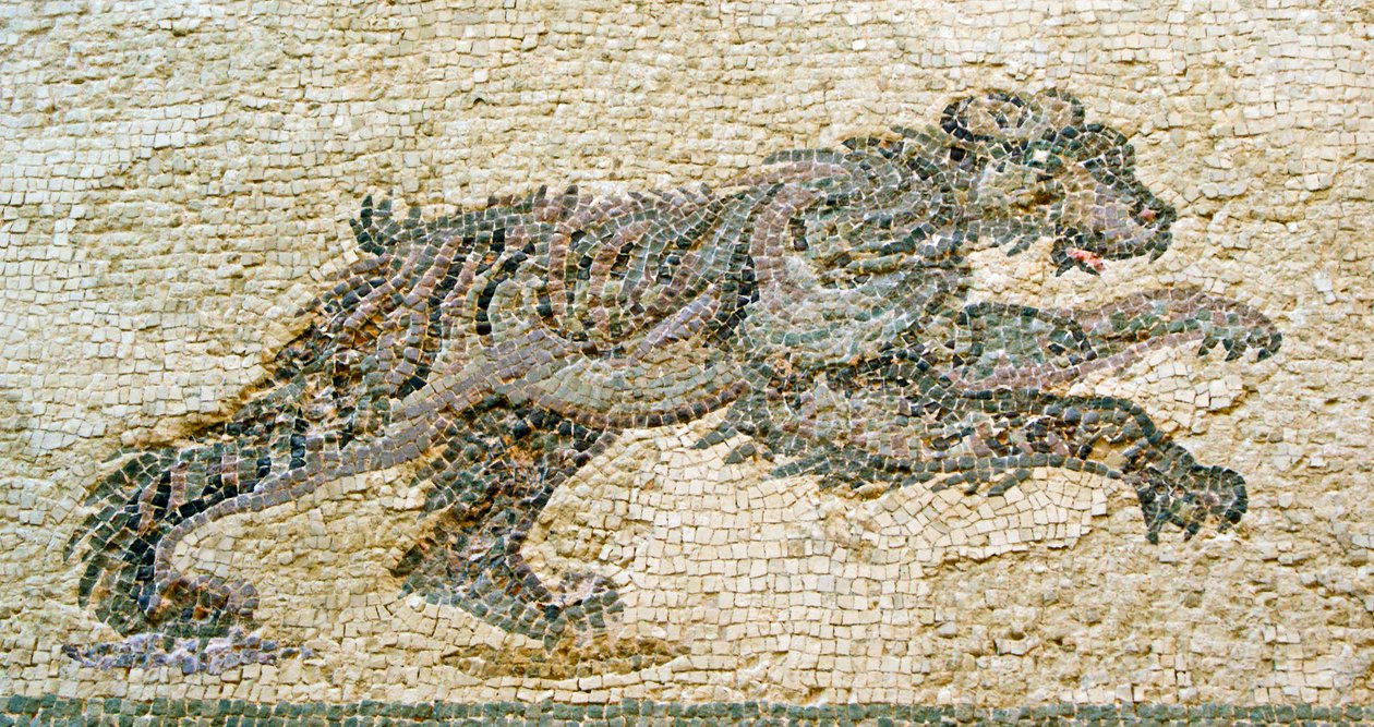 Scena polowania, detal niedźwiedzia, Dom Dionizosa, Pafos, mozaika cypryjska autorstwa Roman