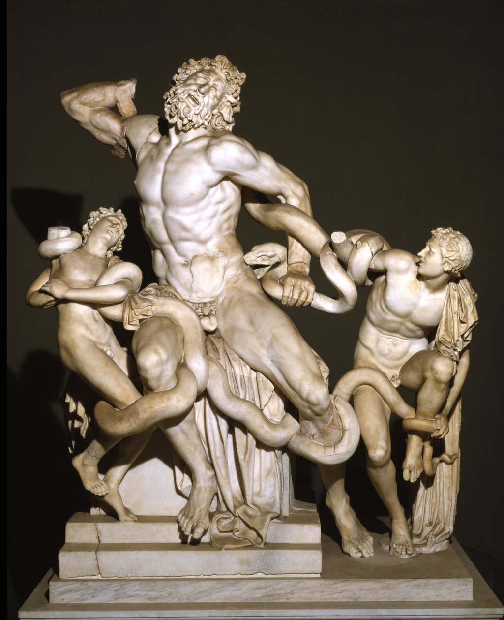 Laokoon i jego synowie (marmur) autorstwa Roman