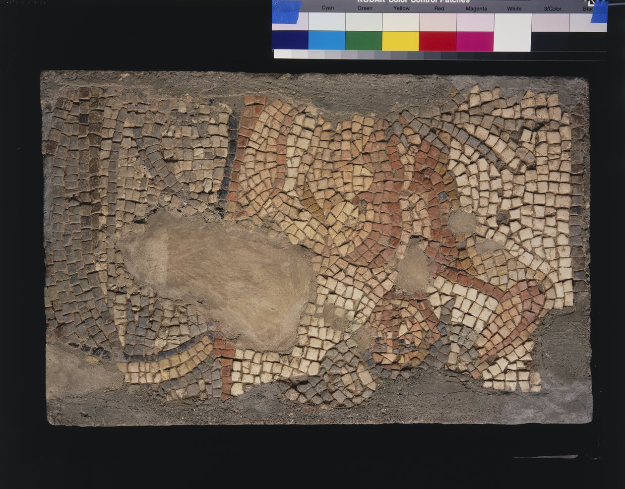 Mozaika z Domu Menander z Zeus, III-IV wiek (tessery wapienne i marmurowe) autorstwa Roman