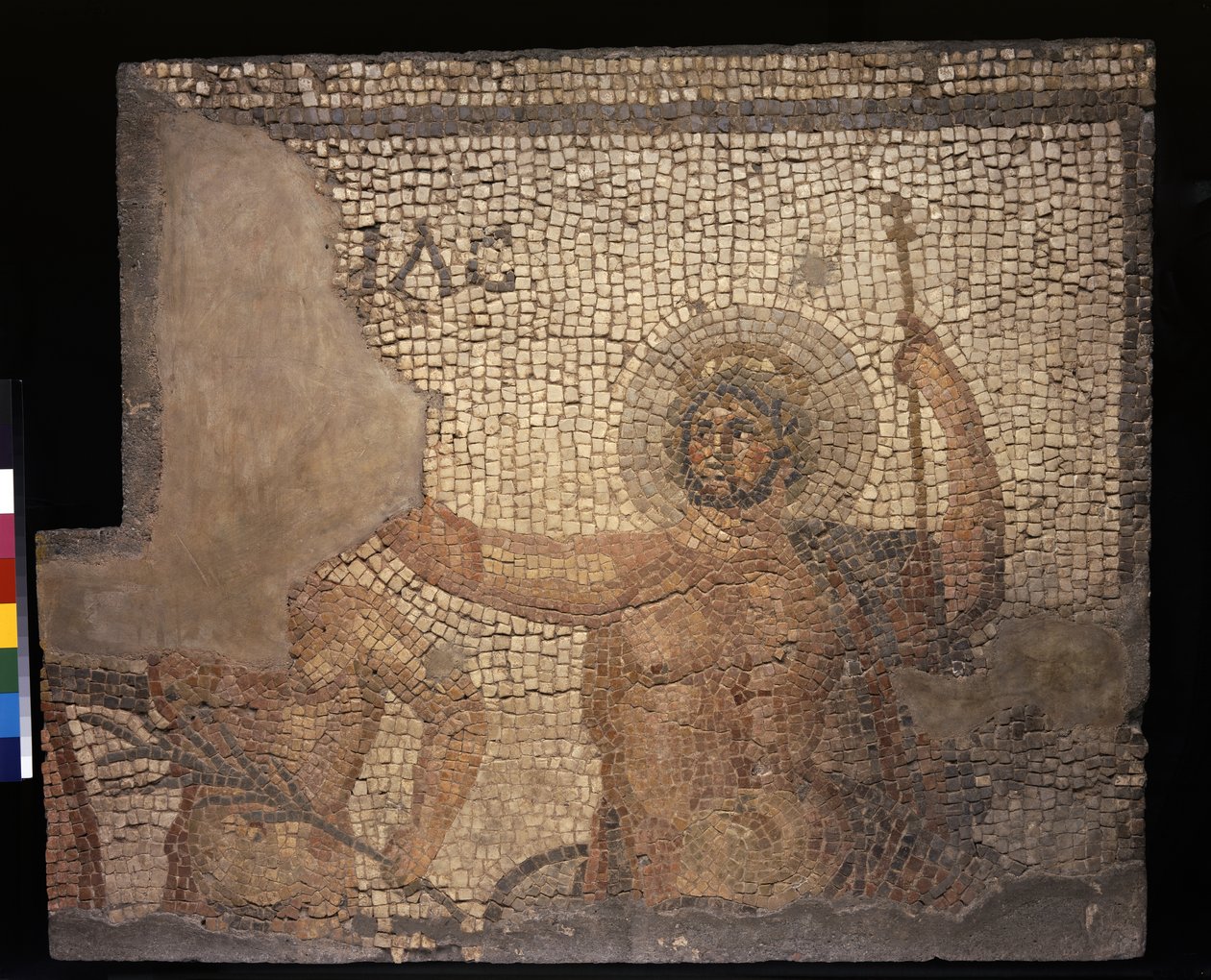 Mozaika z Domu Menander z Zeus, III-IV wiek (tessery wapienne i marmurowe) autorstwa Roman