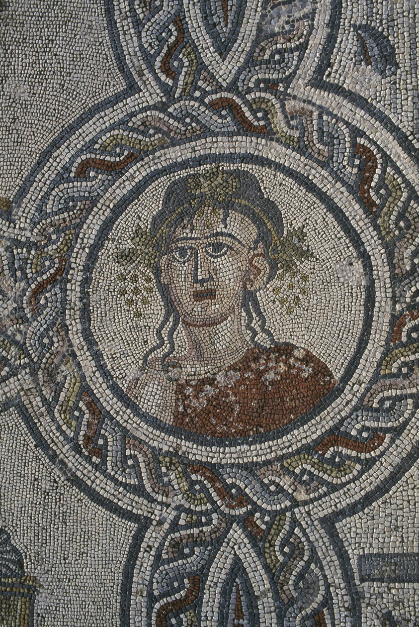 Mozaika Czterech Pór Roku, Dom Dionizosa, detal, głowa (mozaika) autorstwa Roman