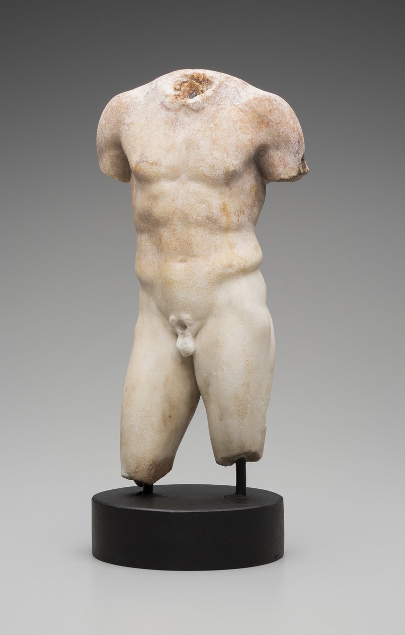 Nagi męski tors (marmur) autorstwa Roman