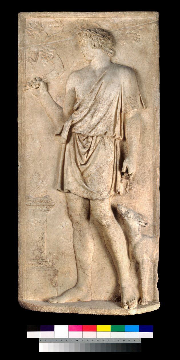 Relief Antinousa jako Dionizos lub Silvanus, zbierający winogrona autorstwa Roman