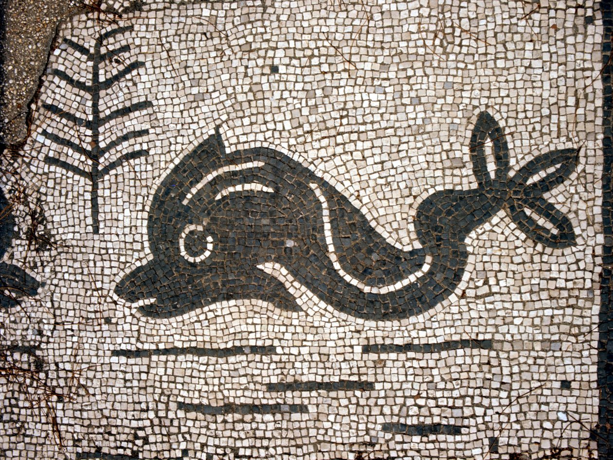 Przedstawienie delfina po mozaice na placu Corporazioni of Ostia (Ostia) antica. autorstwa Roman