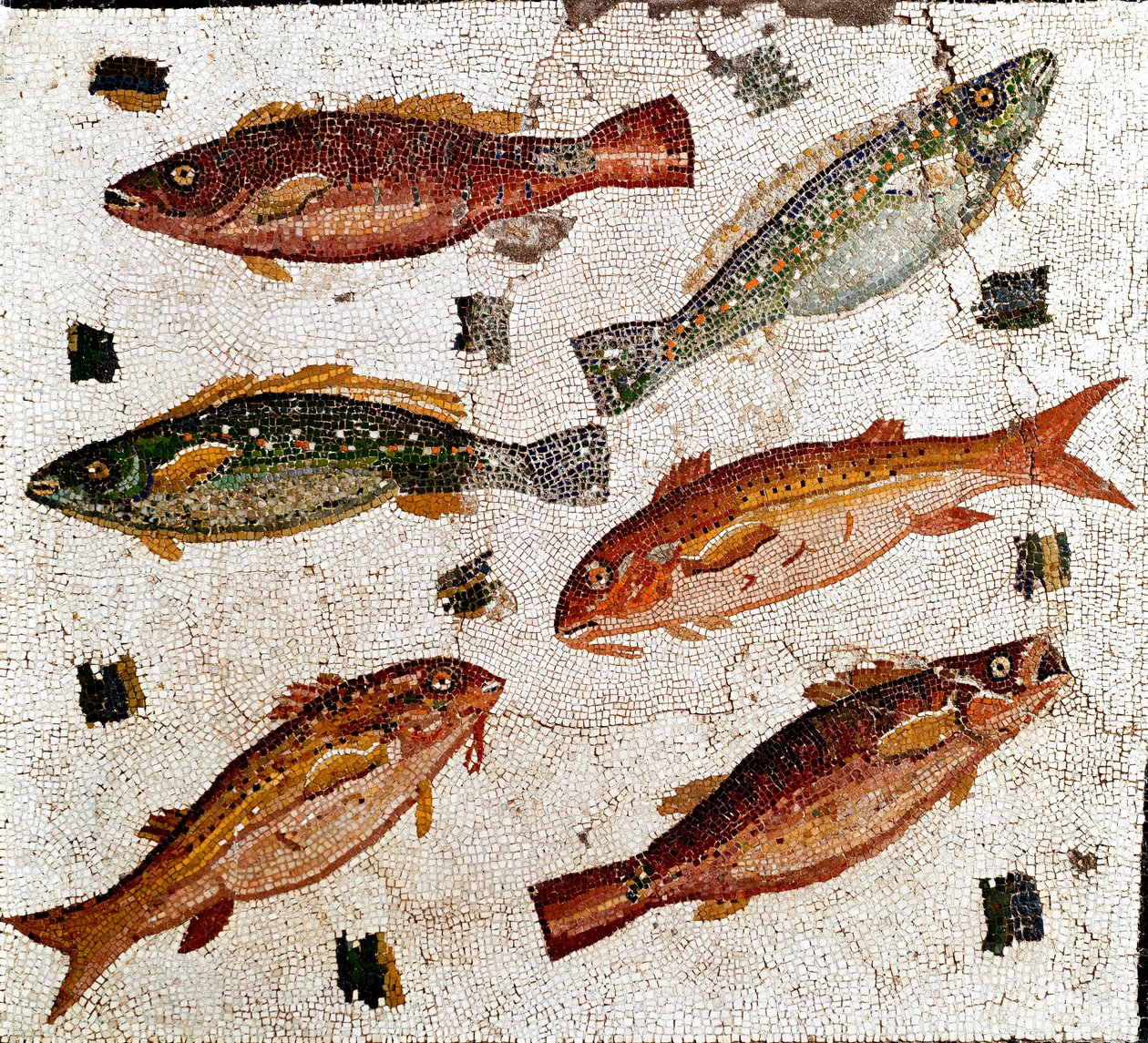 Sztuka rzymska: mozaika przedstawiająca ryby. I wiek p.n.e. Rzym, Museo Nazionale Romano - Sztuka rzymska: Mozaika przedstawiająca ryby. I wiek p.n.e. Museo Nazionale Romano, Rzym, Włochy autorstwa Roman