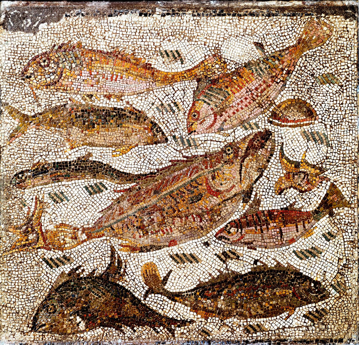 Sztuka rzymska: mozaika przedstawiająca ryby. I lub II wiek naszej ery. Z Villa dei Settimii na Via Cassia. Rzym, Museo Nazionale Romano - Sztuka rzymska: mozaika przedstawiająca ryby. I lub II wiek naszej ery. Z Villa dei Settimii, Via Cassia. Narodowe Mu autorstwa Roman