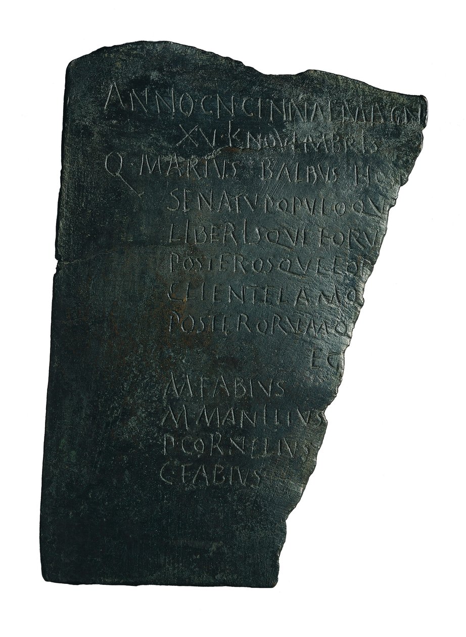 Zarząd Szpitali autorstwa Roman