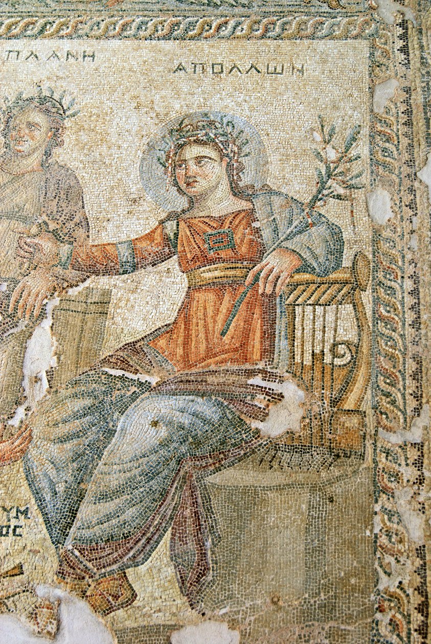 Mozaika Apollo i Marsjasz, fragment Pliniusza i Apolla, Dom Aiona, Pafos, mozaika Cypr autorstwa Roman