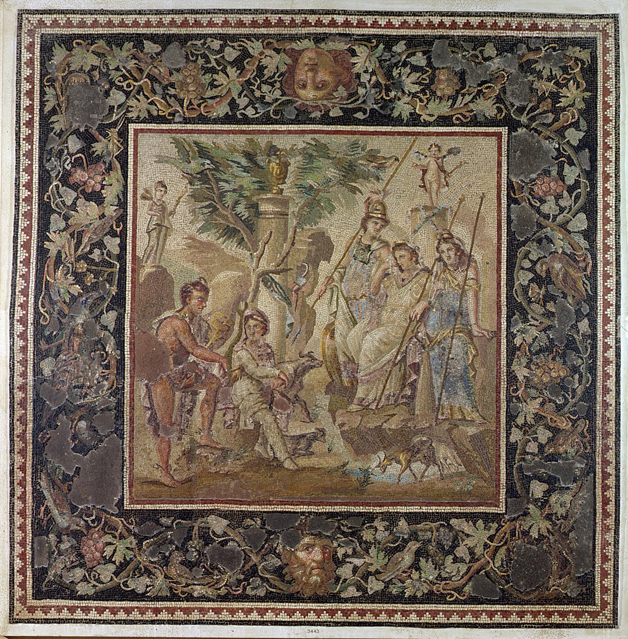 Sąd Parysa, z Domu Atrium, Antiochia, ok. 115 r. n.e. (mozaika) autorstwa Roman