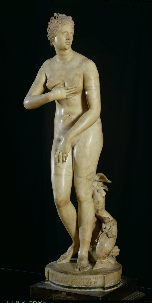 Medycejska Wenus, kopia hellenistycznego oryginału Praksytelesa (ok. 370-330 pne) (marmur) autorstwa Roman