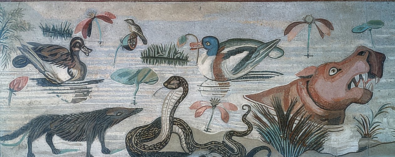 Zwierzęta w Nilu, z Domu Fauna (Casa del Fauno), Pompeje autorstwa Roman
