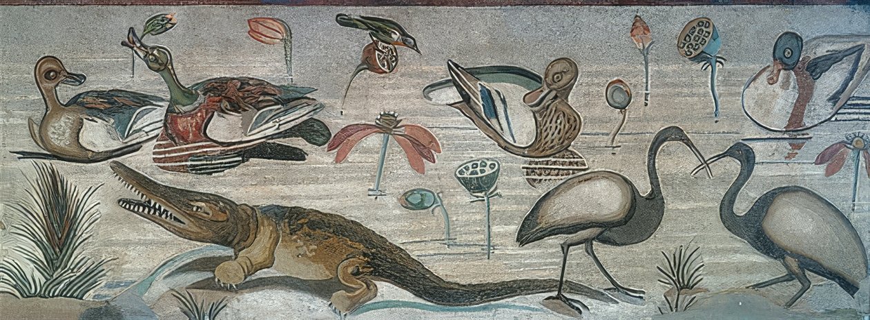 Zwierzęta w Nilu, z Domu Fauna (Casa del Fauno), Pompeje autorstwa Roman