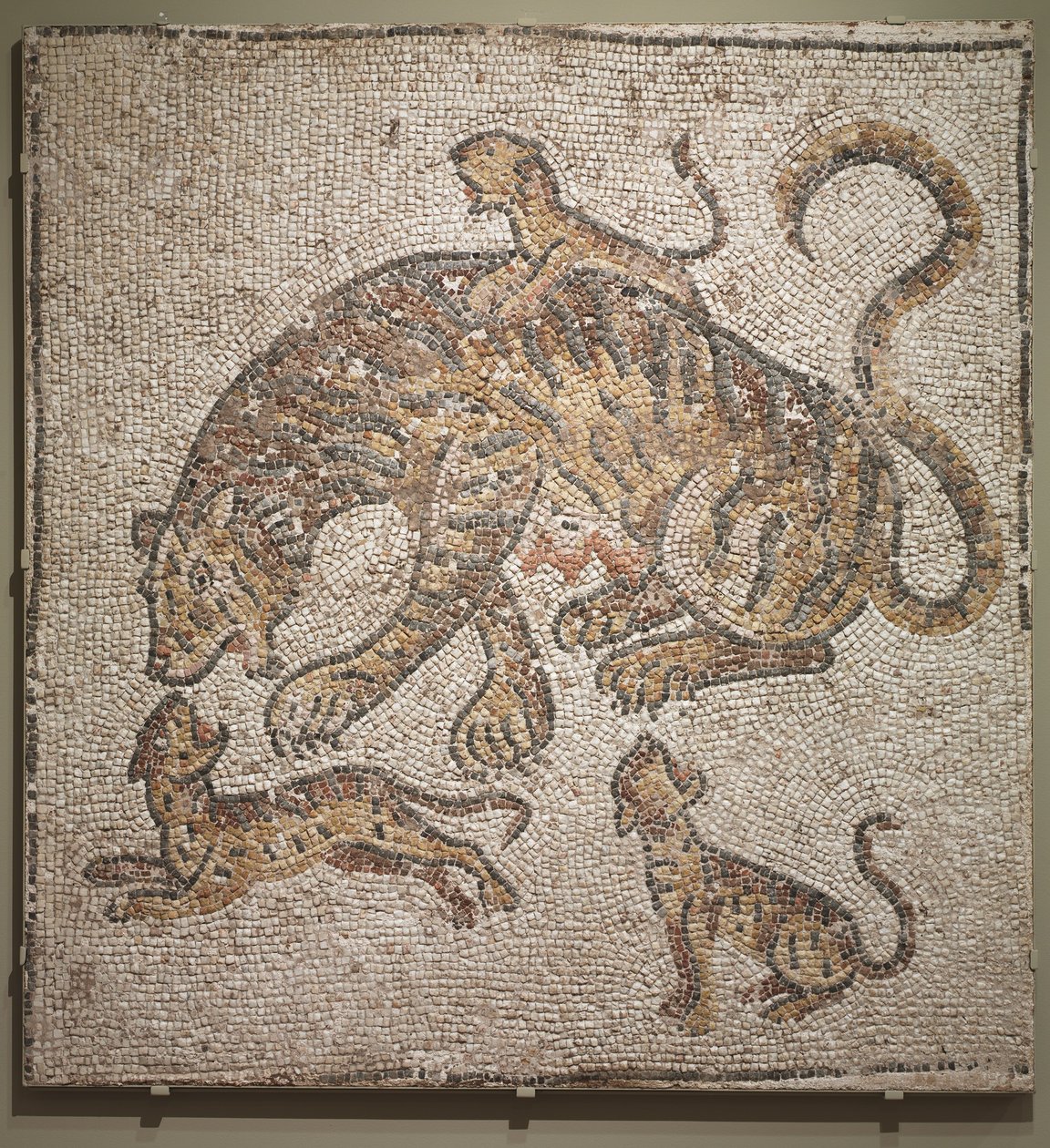 Tygrysica i młode, ok.300 AD autorstwa Roman