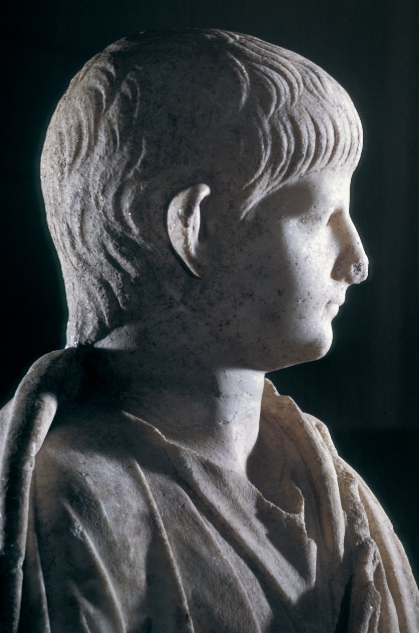 Posąg togatowy młodego Nerona, widok z boku głowy, ok.50 rne (marmur) (detal 140378) autorstwa Roman