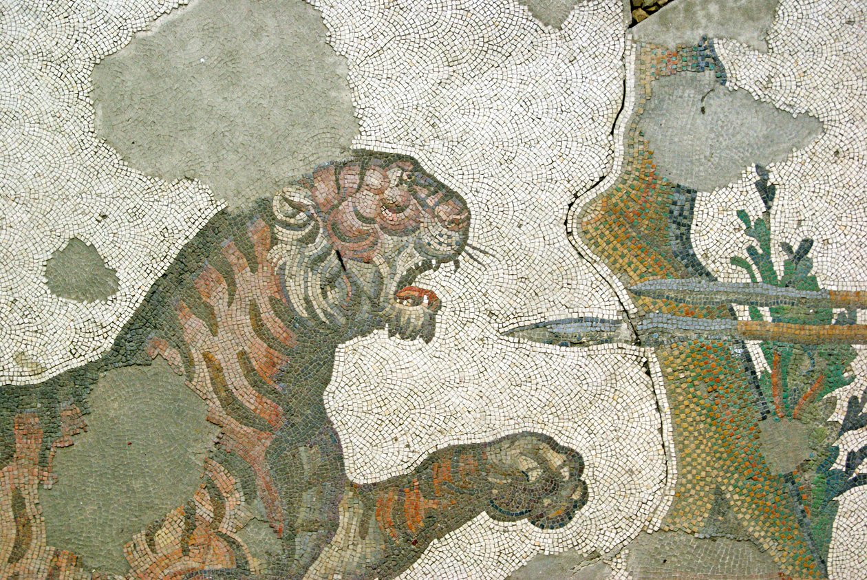 Nieznany obraz autorstwa Roman