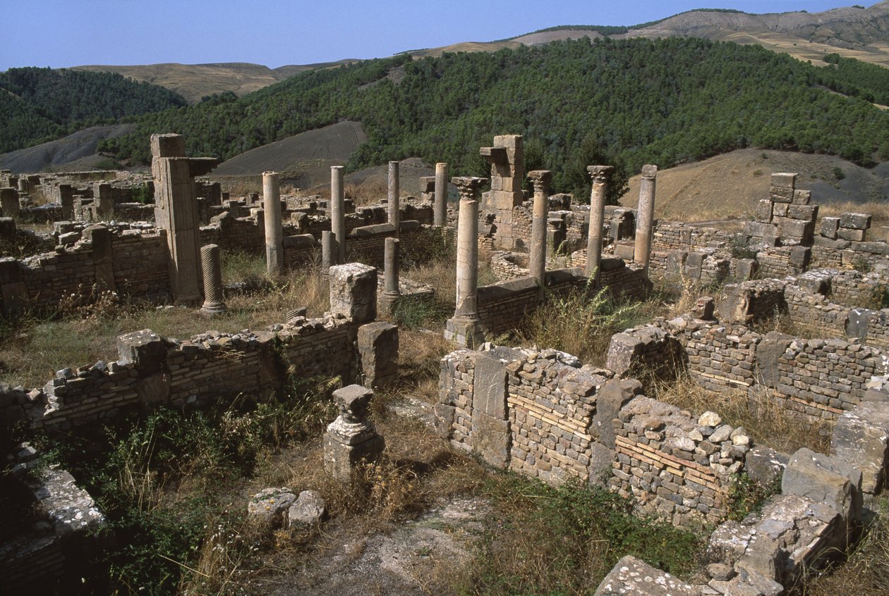 Widok obszaru mieszkalnego, wysoki okres cesarski (27 pne-395 ne) autorstwa Roman Imperial Period